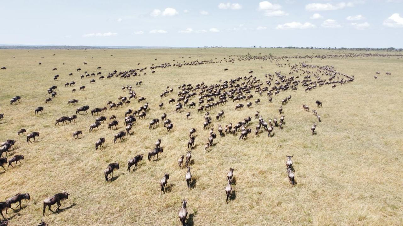 Africa Safari Serengeti Ikoma Exterior foto