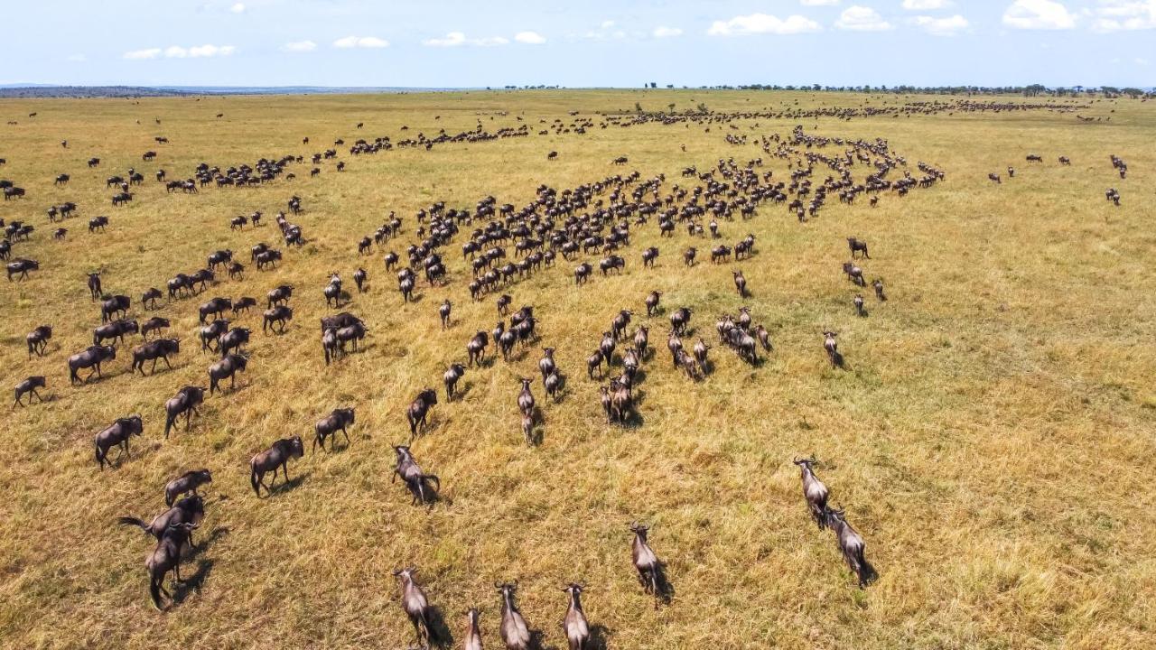 Africa Safari Serengeti Ikoma Exterior foto